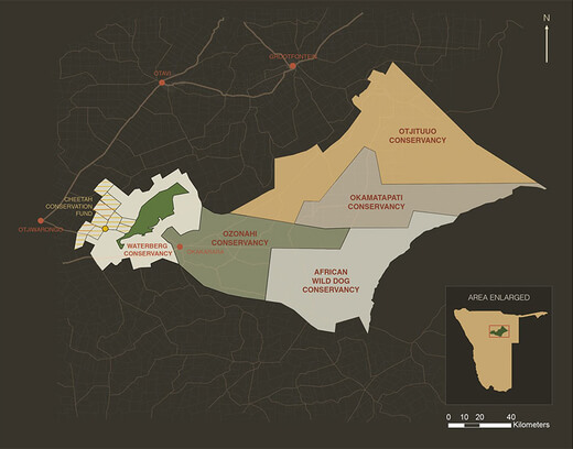 Cheetah Conservation Fund works with communal farmers and people living around the Greater Waterberg Landscape Conservancy.