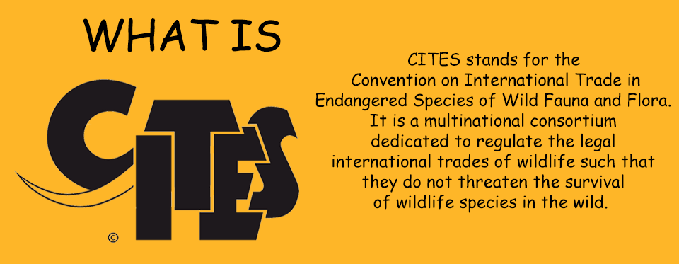 What is CITES?