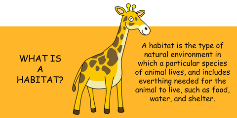 What is a habitat