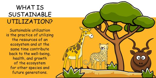 What is sustainable utilization?