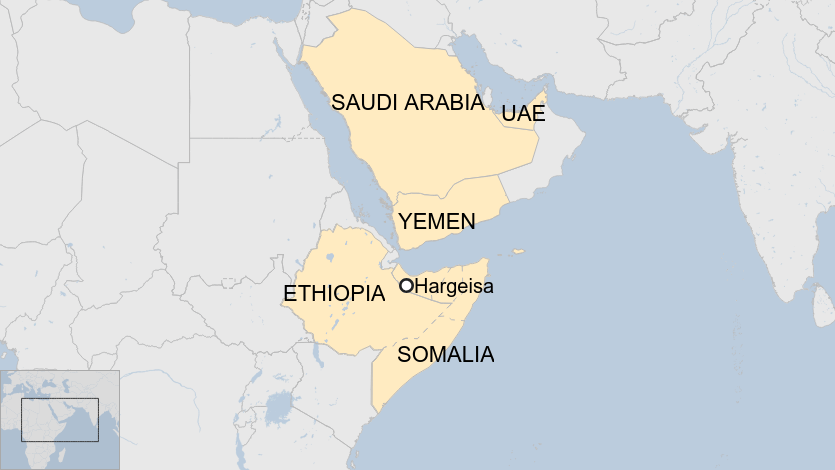 The heaviest trafficking of cheetahs have been observed from Central and Southern Africa into the Middle East.