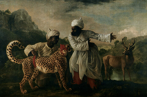 A painting depicting a cheetah gifted to the English King George III by the Tippoo Sultan in 1799.