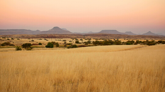 African savanna